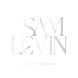 Levinsam Logo